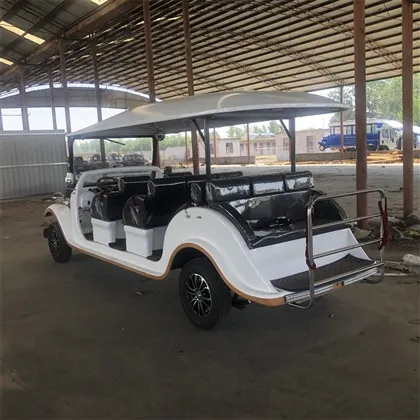 Auto turistica classica elettrica a 8 posti